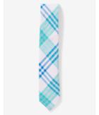 Express Mens Slim Plaid Linen-cotton Tie