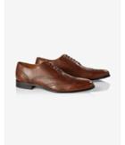 Express Brown Leather Wingtip Oxford
