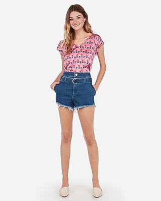 Express Womens Satin Popsicle Print V-neck Gramercy Tee