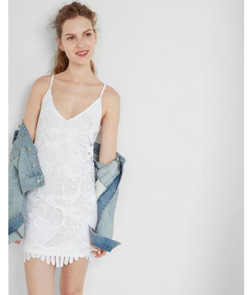 Express Lace Trapeze Dress