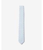 Express Mens Slim Flamingo Cotton Tie