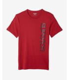 Express Superior Crew Neck Graphic Tee
