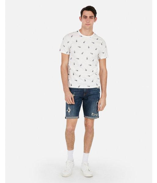 Express Mens Slub Pineapple Print Crew Neck Tee