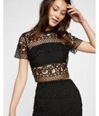 Express Womens Trellis Lace Short Sleeve Cropped Top