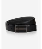 Express 2-in-1 Reversible Bars Plaque Belt