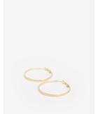 Express Womens 14k Hoop Earrings