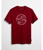 Express Mens Lion Map Crew Neck Graphic Tee