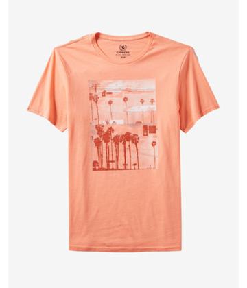 Express Mens Venice Tropical Graphic Tee