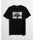 Express Mens Tampa Bay Rays Black Graphic Tee