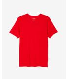 Express Mens Stretch+ V-neck Tee
