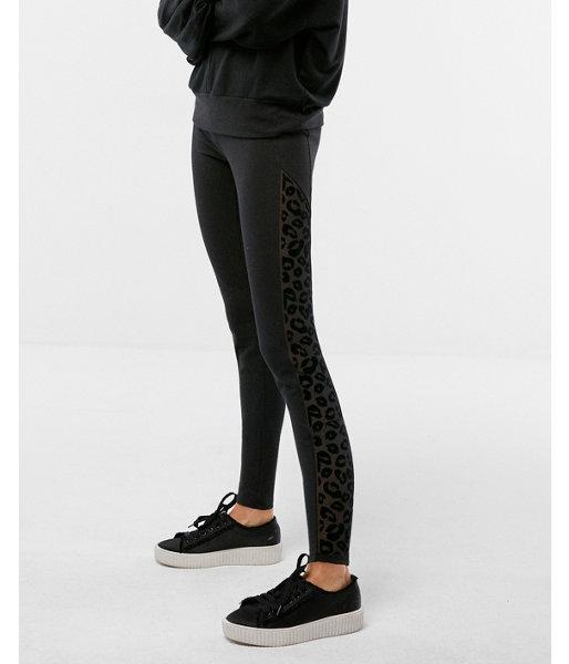 Express Womens Sexy Stretch Leopard Mesh Panel