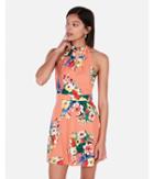Express Womens Floral Halter Keyhole Cut-out Fit And Flare Dress