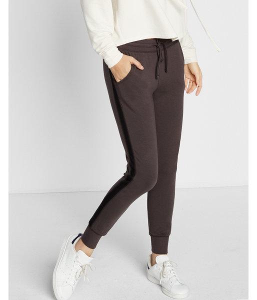 Express Side Stripe Jogger Pant