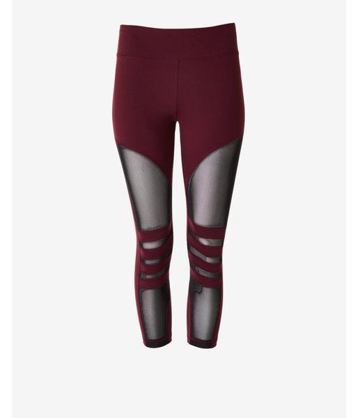 Express Exp Core Mesh Cropped