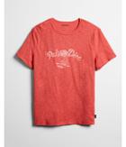 Express Mens Pair O' Dice Burnout Graphic Tee