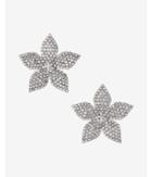 Express Womens Pave Flower Earrings