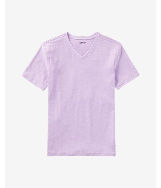 Express Flex Stretch V-neck Tee