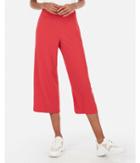 Express Womens High Waisted Culotte Pant