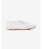 Express Mens White Superga Canvas Low Top