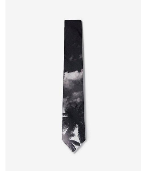 Express Mens Narrow Palm Scene Printed Tie