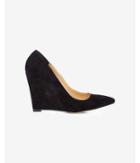 Express Faux Suede Pointed Toe Wedge Pump