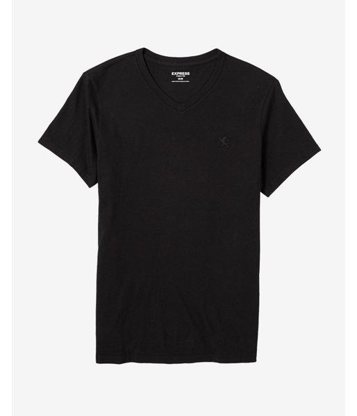 Express Mens Small Lion V-neck Tee