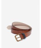 Express Mens Navy Strap Gold Prong Buckle Belt