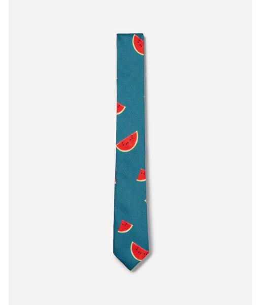 Express Mens Slim Watermelon Tie
