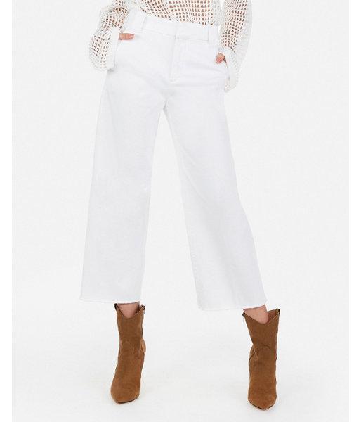 Express Womens Extreme High Waisted Cropped Wide