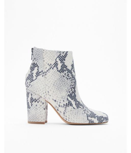 Express Womens Steve Madden Star Heeled Booties