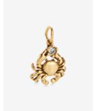Express Womens Sequin Matte Gold Crab Charm
