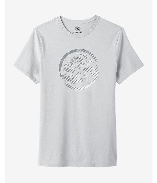 Express Ombre Lion Graphic Tee