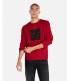 Express Mens Graphic Fleece