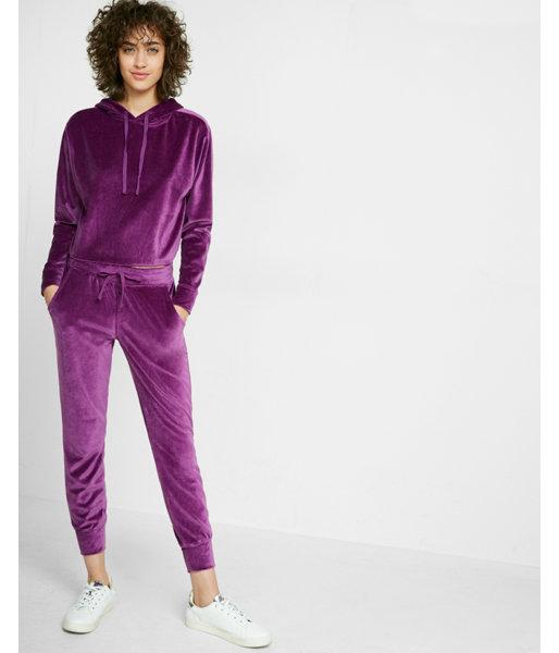 Express One Eleven Velour Jogger Pant