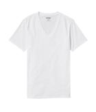 Express Mens Flex Stretch Deep V-neck Tee