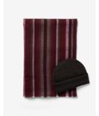 Express Mens Stripe Scarf And Beanie Gift