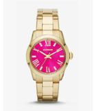 Express Mens Analog Bracelet Watch - Bright Pink And Gold