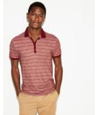 Express Mens Supersoft Thin Stripe Jersey Polo