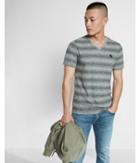 Express Small Lion Ombre Stripe V-neck Tee