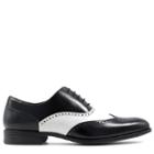 Stacy Adams Men's Stockwell Medium/wide Memory Foam Wing Tip Oxford Shoes 