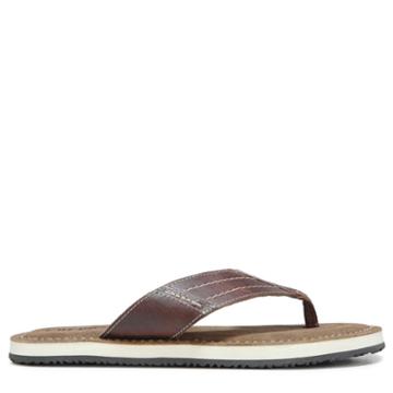 Crevo Men's Marcos Thong Sandals 