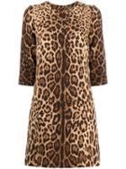 Dolce & Gabbana Leopard Print Mini Shift Dress - Brown