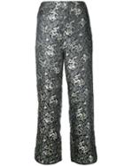 H Beauty & Youth Dragons Pants, Women's, Size: Medium, Black, Polyester