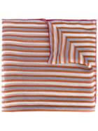 Ermanno Gallamini Striped Scarf - Multicolour