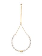 Tohum Large Puka Natural Shell Necklace - White