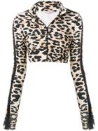 Paco Rabanne Leopard Print Cropped Track Top - Black