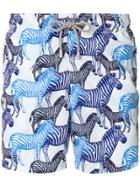 Mc2 Saint Barth Zebra Print Swim Shorts - Blue