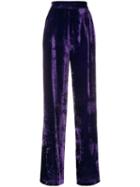 Erika Cavallini Velvet High Waisted Trousers - Purple