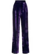 Erika Cavallini Velvet High Waisted Trousers - Purple