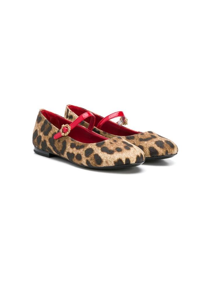 Dolce & Gabbana Kids Leopard Print Ballerina Shoes - Brown